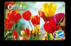 Magnetic Swipe Cards  / Magstripe Plastic Gift Cards Printed by Haidelburg Technology