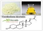 Raw Trenbolone Acetate Trenbolone Steroids for Muscle Building / Anti Aging CAS 10161-34-9