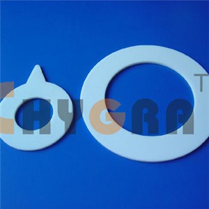 Ptfe Gasket