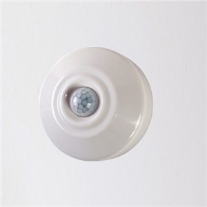 Motion Sensor SWITCH AJ-80