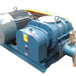 DSR150 Roots Blower