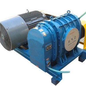 DSR250B Roots Blower