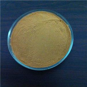 Dandelion Powder