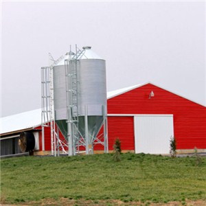 Pre-Engineered Steel Chicken House