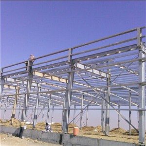 Steel Structure Farm