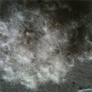 Grey Duck Down Material 70/30 /80/20 90/10