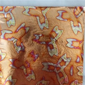 V06 Variegated Copper Leaf