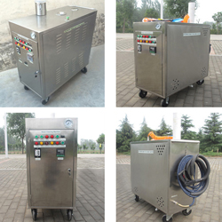 20bar 2 steam gun mobile steam car washing machine
