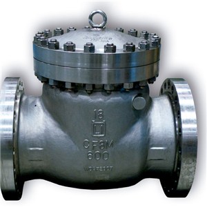Forged Stainless Steel Check Valve
