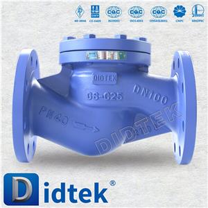 Duplex Steel Lift Check Valve