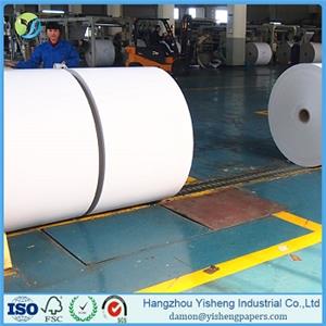 Triplex Paper Paperboard Cardboard Duplex Board White Back In Rolls