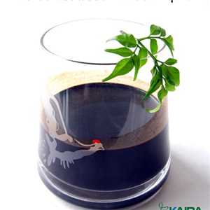 Liquid Seaweed Extract Fertilizer From Liquid Kelp Fertilizer