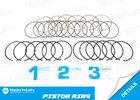 Montero Sport  3000GT Diesel Engine Piston Rings , Hastings Pistons Rings