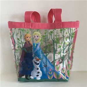 Disney Frozen Sisters Clear PVC Bag