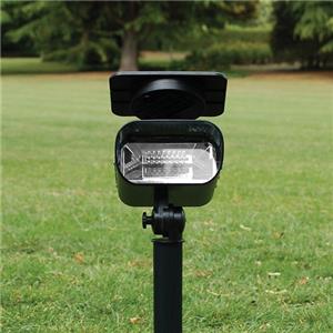 Solar Shed Light