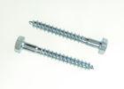 Bule ZInc Steel Hex Head Lag Screw ASME B18.2.1 With Sharp Point