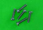 Zinc Finsih M10 Stainless Steel Machine Screws for Industrial ISO Standard