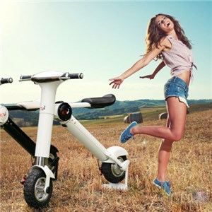 Acetech R&D 350w Scuter Electric Foldable Madein China