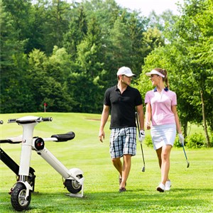 Foldable Mini Electric Motorcycle For Adults