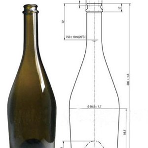 Champagne Glass Bottle