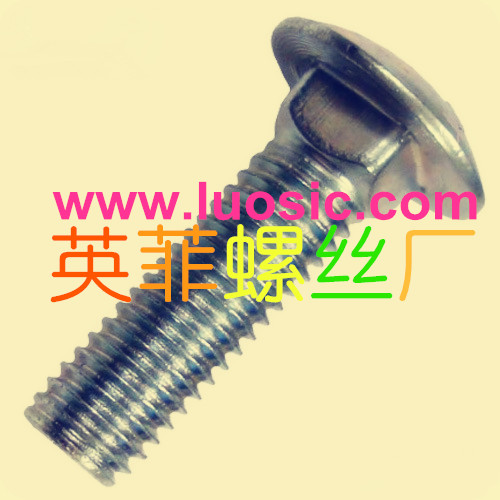 Carriage Bolt DIN603