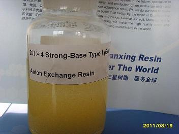 Strong-Base Type I (Gel) Anion Exchange Resin