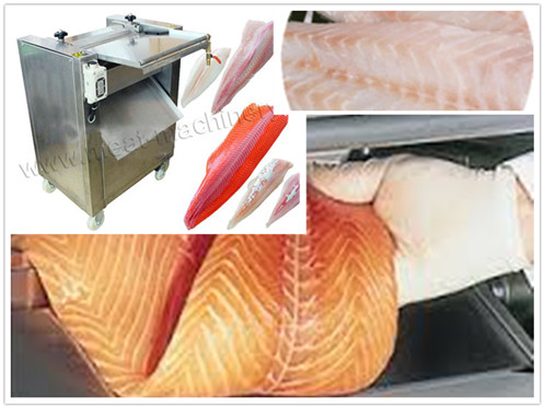 Fish Skinning Machine