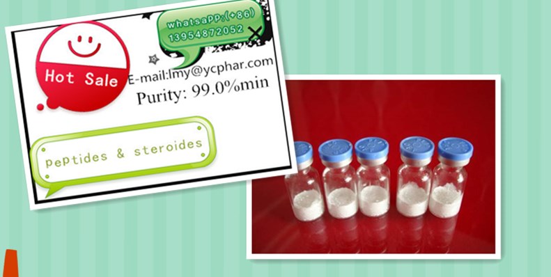TB-500  Thymosin Beta-4 Acetate Safe Package Fast Delivery TB-500