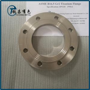 GR5 Titanium Alloy Slip On Flanges