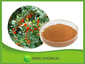 Goji extract/Ningxia Organic Wolfberry Extract