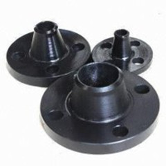 DIN Steel Flange