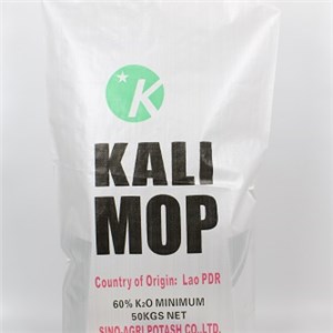 Offset Press Exported Sacks Bag Manufacturer