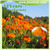 high quality lutein, marigold flower extract