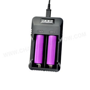 2 Slots Smart Charger With LED Applied To Lithium /NiMH Battery In 5V Input