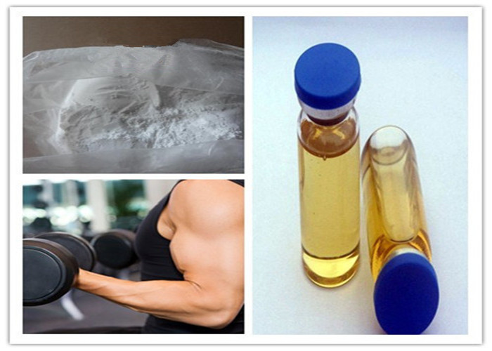 Legal Winstrol Stanozolol CAS 10418-03-8 Anabolic Steroid White Powder Winstrol Oil Based Solution Safe Delivery