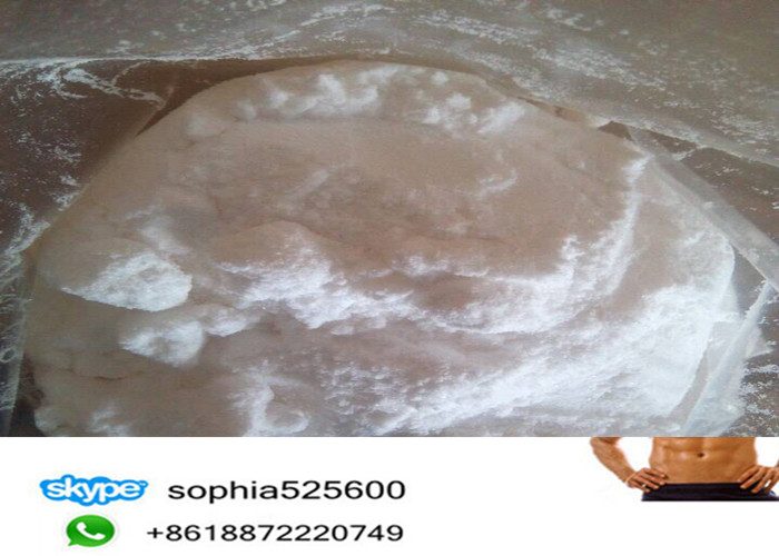 Testosterone Propionate Test Propionate CAS 57-85-2for Bulking Anabolic Raw Powders