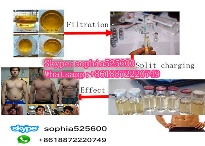Trenbolone Enanthate CAS 472-61-546 Anabolic Steroid Powder  Muscle Growth Steroids Oil