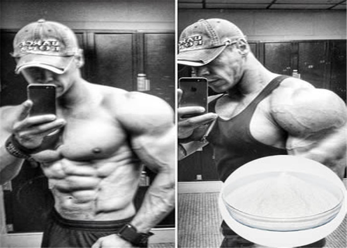Anabolic Steroid Powder Trestolone Acetate CAS 6157-87-5 GMP Sdandard With Safe Delivery