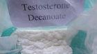 Anti-osteoporosis Raw Steroid Powders Testosterone Decanoate Anabolic Male Sex Hormone 5721-91-5