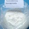 Testosterone Isocaproate Raw Steroid Powders CAS 15262-86-9 for Anti Aging / Cancer Treatment