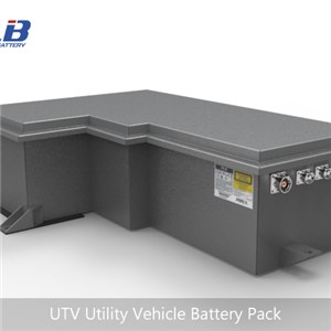 UTV Utility Vehicle Battery Pack