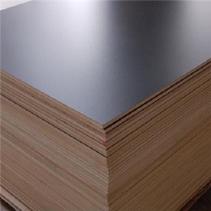 Poplar Core Blockboard