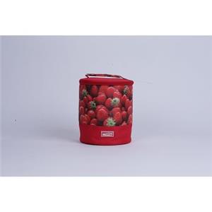 PP&PE&RPET&non Woven Cooler Bag