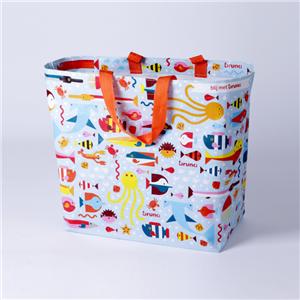 PP&PE&RPET&non Woven Shopping Bag