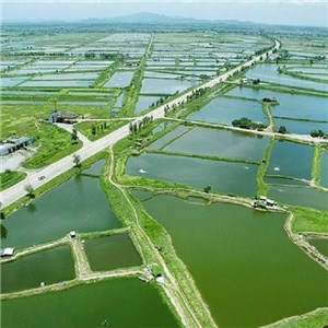 High Producing Oxygen Of Zeolites Bacterial Activity For Water System Aeration