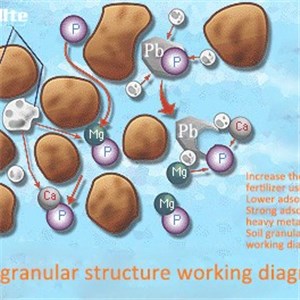 Zeolite Recovery For Heavy Metal Land And Radioactive Cleanup