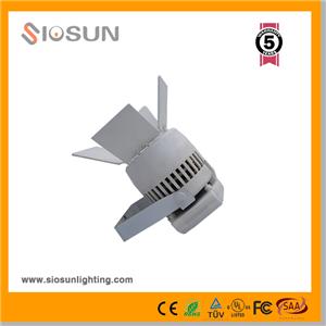 Dimmable 80W Citizen COB LED Track Rail Lighting