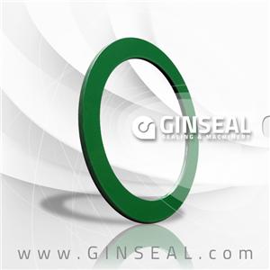 Stainless Steel Zinc Carbon Steel Inner Outer Flat Face Raised Face Rings For Spiral Wound Gasket