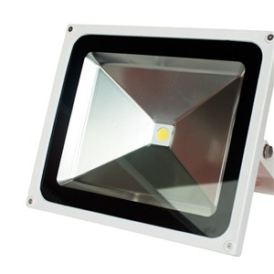 50W COB Flood Light