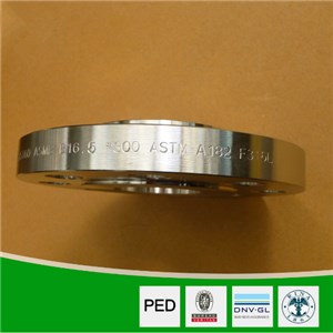 Stainless Steel ANSI Flange